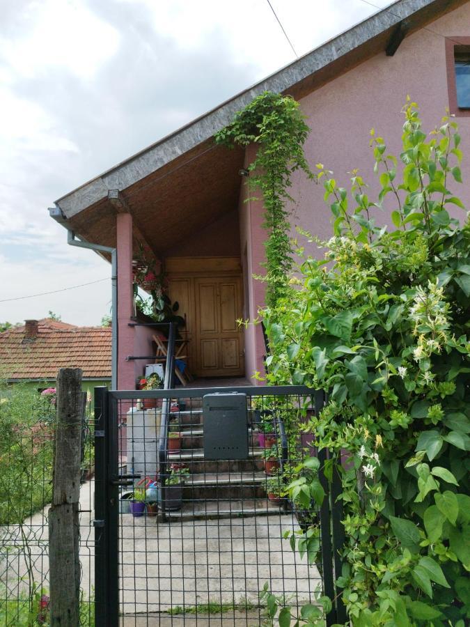 Stancic 019 Lejlighed Zaječar Eksteriør billede