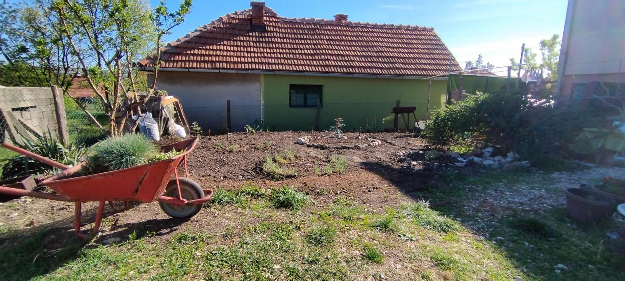Stancic 019 Lejlighed Zaječar Eksteriør billede